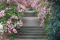 Outdoor Stone Stairway Callaway Gardens Georgia Royalty Free Stock Photo