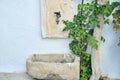 Outdoor stone washbasin, relaxation area, stone wall decorated with green plant