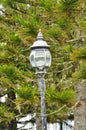 Outdoor street light with green leaf background Royalty Free Stock Photo