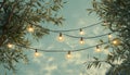 Outdoor String Lights, Evening Ambiance, Rustic Celebration, Golden Lights, Tranquil Summer Night Royalty Free Stock Photo