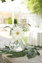 Outdoor garden civil wedding seating Royalty Free Stock Photo