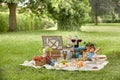 Outdoor summer lifestyle with a gourmet picnic Royalty Free Stock Photo