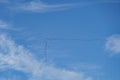 Flock of bird fly over treetop on the sky.