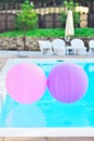 huge balloons of pink and purple colar float in the pool