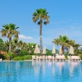 Outdoor swimming pool, palm trees and sunloungers