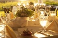 Outdoor table setting