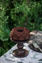 Outdoor table setting. Chocolate cake on a high wooden stand Royalty Free Stock Photo