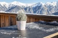 Outdoor table with winter plant in restaurant with mountain view in ski resort, Alps, Austria, Salzburg Royalty Free Stock Photo