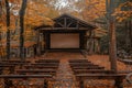 Outdoor theater setup in forest for orchidej.a Film Screening