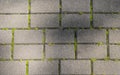 Outdoor tiled sidewalk, gray rough rectangular stone with moss top view. Pavement texture background