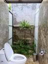 Outdoor toilet in nature