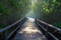 Outdoor tourism Wooden bridge amidst the serene mangrove forest