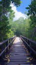 Outdoor tourism Wooden bridge amidst the serene mangrove forest