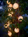 Outdoor Tree with Decorated Circular Lights, lamp light