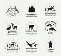 Outdoor Vector Emblems. Set of wilderness quotes, and design elements. Deers silhouettes, forest, trees, mountains. Vector set of Royalty Free Stock Photo