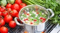Outdoor Vegetable Soup Simmering on Grill Royalty Free Stock Photo