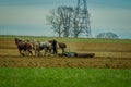 Outdoor view of amish farmer using many horses hitch antique plow in the field