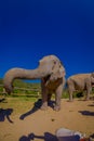 Outdoor view of beautiful huge elephant in a gorgeous sunny day with blue sky stretching the trunk asking for food, in a Royalty Free Stock Photo