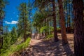 Outdoor view of family of tourists walking on a sand path in South Rim trail of Grand Canyon, Arizona Royalty Free Stock Photo