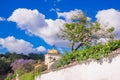 Outdoor view of plants inside of a stoned fence with a old buildings in Antigua Guatemala, the historic city Antigua is