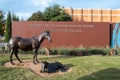 outdoor view to the museum of cowgirls and hall of fame with two bronce horses at the grass