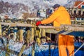 Outdoor view of unidentified man working on process of stockfish cod drying during winter time on Lofoten Islands