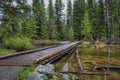 Outdoor view of wooden path over a stagnant water in a foggy forest, located Grand Tetons close to Jenny Lake Royalty Free Stock Photo