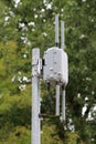 Outdoor Wi-Fi access point with four antennas mounted on strong metal pole partially covered with cobwebs on dense trees