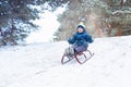 Boy sledding in a snowy forest. Outdoor winter fun for Christmas vacation. Royalty Free Stock Photo