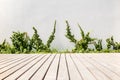 Outdoor wooden decking with velcro plant in the garden decorative. Royalty Free Stock Photo