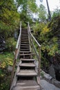 Outdoor wooden stair case in the woods Royalty Free Stock Photo