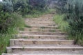 Outdoor Wooden Stairs