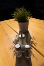 outdoor wooden table salt pepper cruets plant