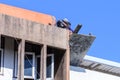 Outdoor worker repair top of building