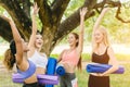 Outdoor Yoga class, Group of young healthy women teen happy greeting meeting together for exercise