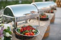 Outdoors fourchette table with italian appetizers and fresh flow Royalty Free Stock Photo