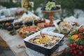 Outdoors fourchette table with traditional moldavian appetizers Royalty Free Stock Photo