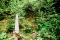 Outdoors Indie Wedding White Bridal Dress in Forest