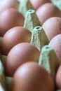 Outdoors laid chicken eggs Royalty Free Stock Photo