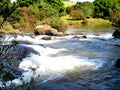 River with stones and flowing water. Fresh water and green vegetation