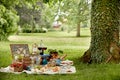 Outdoors lifestyle picnic in a lush green park Royalty Free Stock Photo