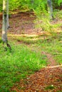 Outdoors park passing road rusty scene