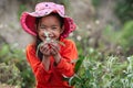 Outdoors portrait of vietnamese little girl holding plant and smiling at camera. Beautiful soft sunlight. New generation. Dien