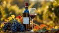 An outdoors setting with a red wine bottle with empty white label, a wine glass, and grapes, with greenery on a background Royalty Free Stock Photo