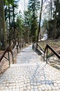 Outdoors stairs going down, cubic stone paved and wood handrail surrounded by trees