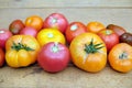 Outdoors still life with ripe red and orange tomatoes on brownn wooden table surface as background