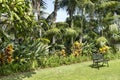 Outdoors tranquil corner with a bench surrounded by a luxurious tropical garden, Tenerife, Canary Islands, Spain Royalty Free Stock Photo