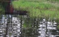 Outdoors, Trees, Water, Flooding, Grass, Yard, Birdhouse, Shed Royalty Free Stock Photo