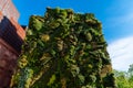 Outdoors view of CaixaForum building in Madrid Royalty Free Stock Photo