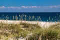 Outer Banks beach Royalty Free Stock Photo